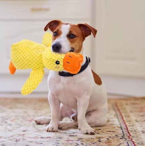 Dog with calming pet toy duck, a durable plush chew interactive toy, sitting on rug.