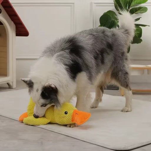 Dog playing with a yellow duck plush toy, showcasing the calming pet toy for interactive play.