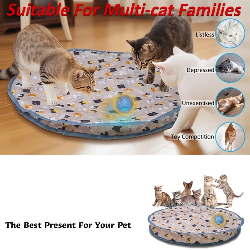 Rechargeable interactive cat toy ball with motion-activated play and smart rolling modes for indoor cats