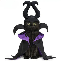 Ensemble cape et chapeau d'Halloween pour animaux de compagnie – Costume enchanteur inspiré de Maléfique