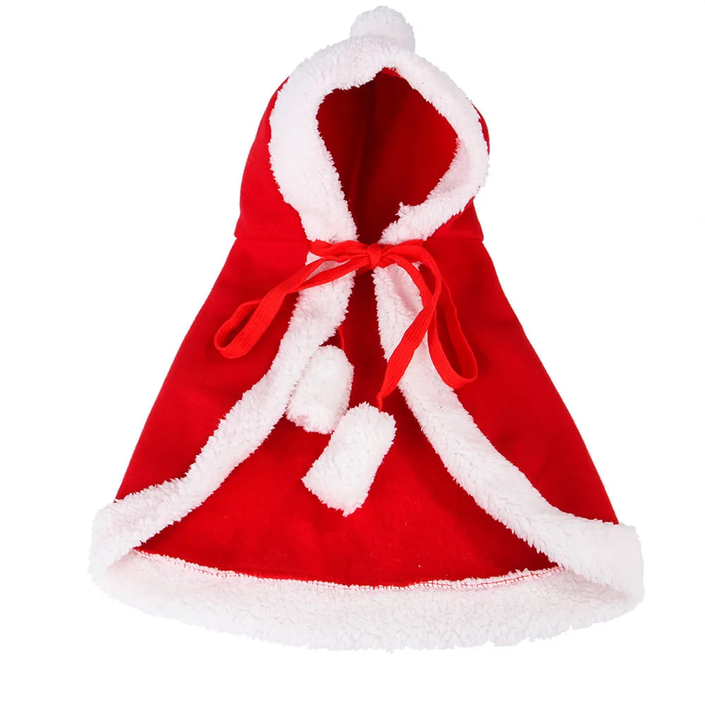 Cat wearing a red and brown Christmas cloak, ideal for festive parties and holiday photos.
