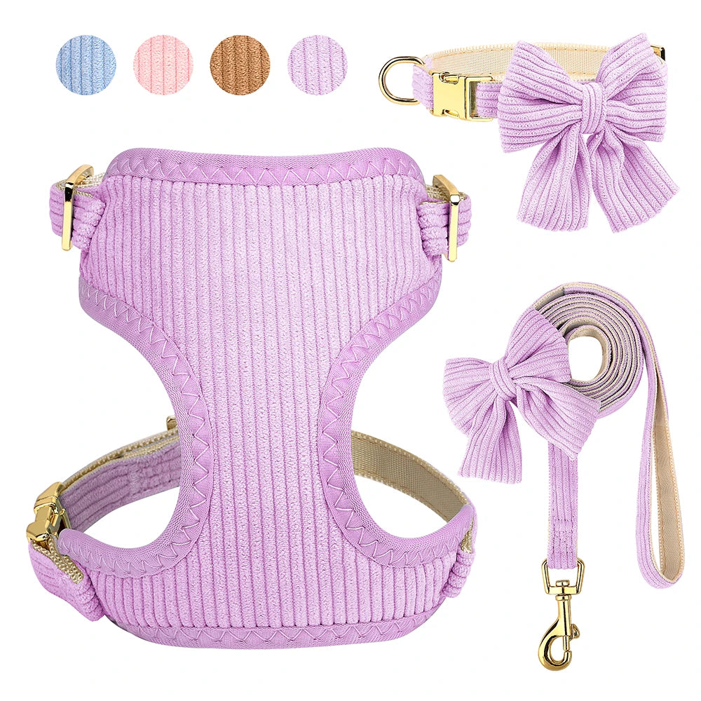 Small dog wearing cute bowtie harness with matching leash and collar