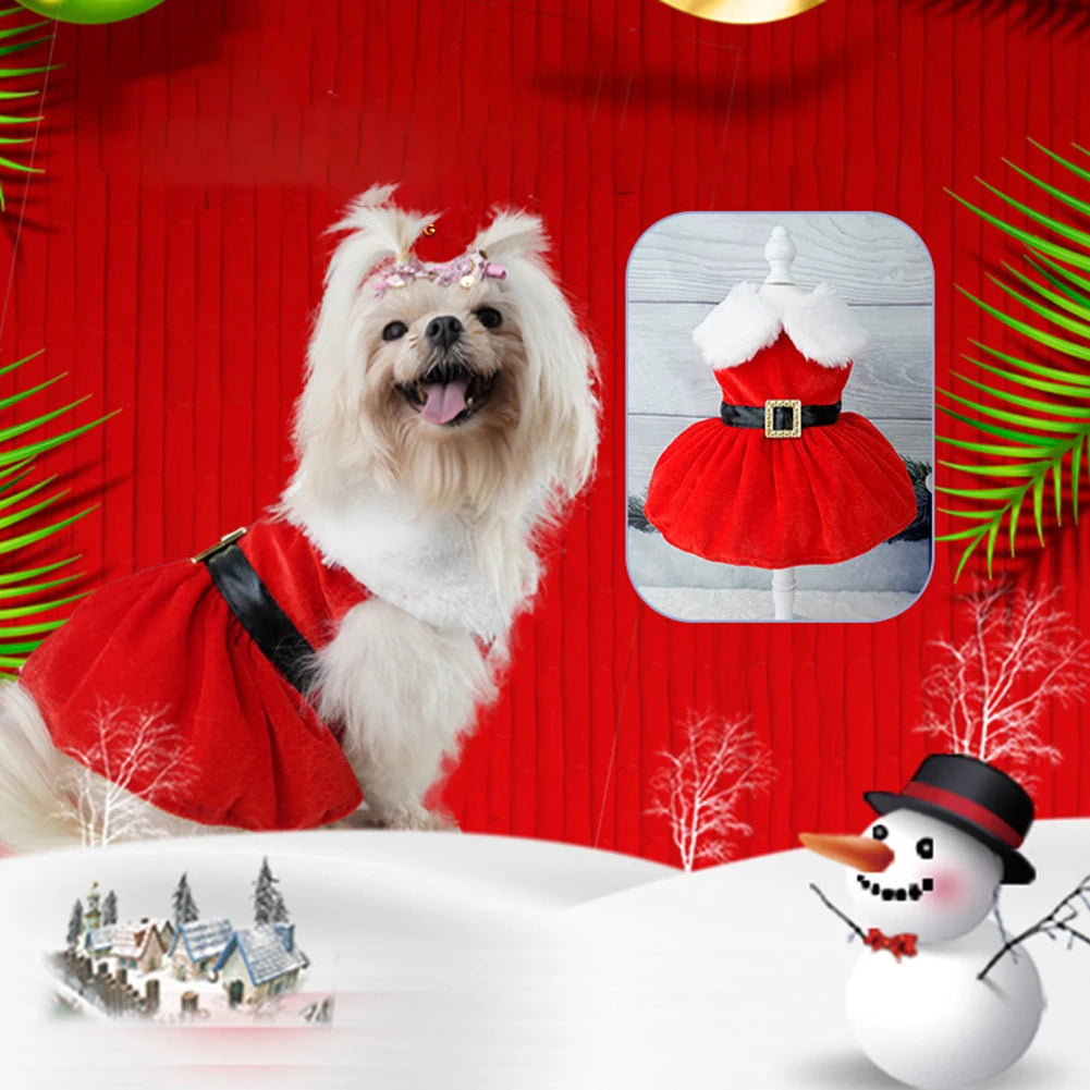 Red Christmas dog dress with glittering belt for small dogs and cats