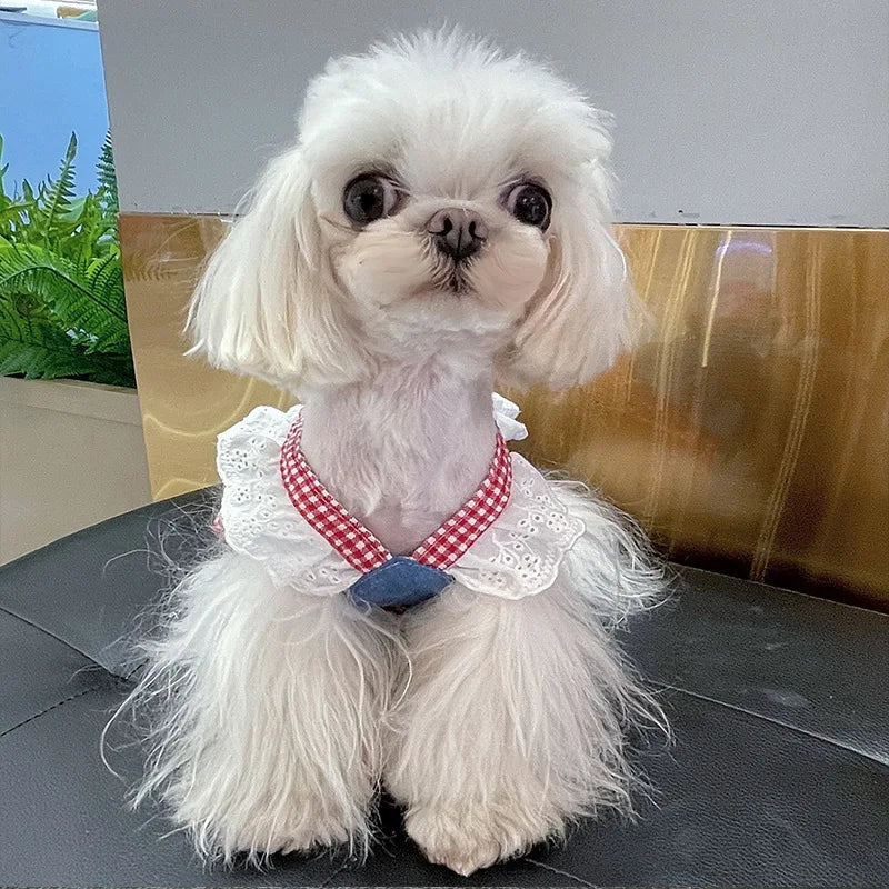 Small dog wearing pink doll-style harness with denim skirt and matching leash