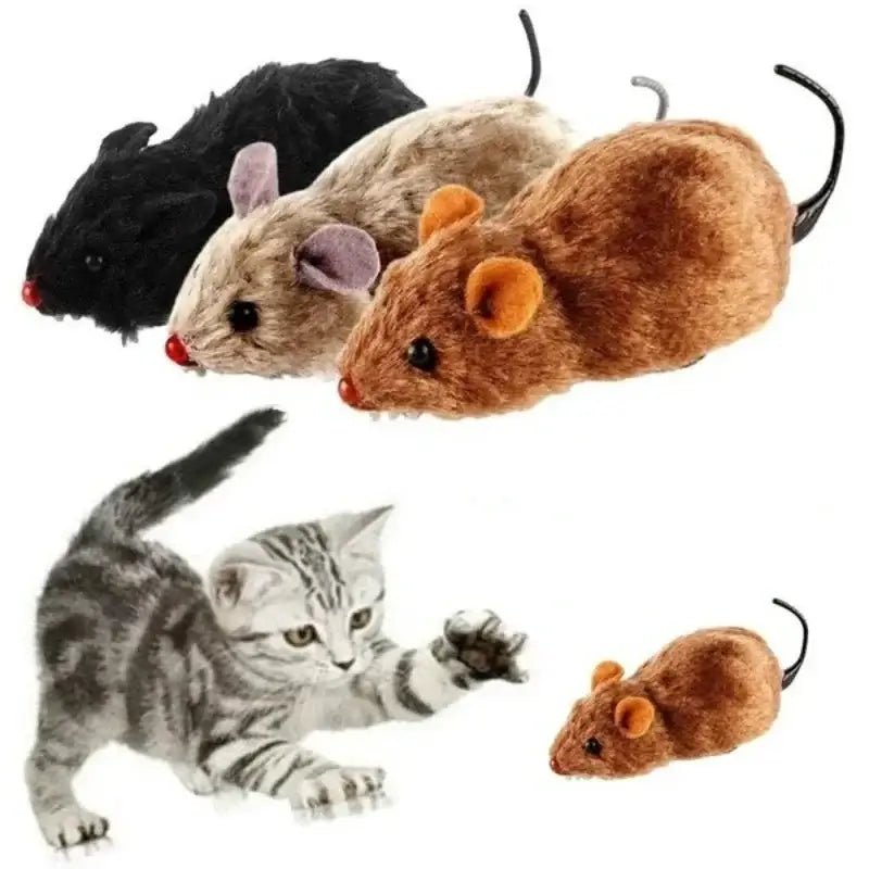 Indoor cat playing with a wind-up plush mouse toy, chasing it across the floor for hours of entertainment.