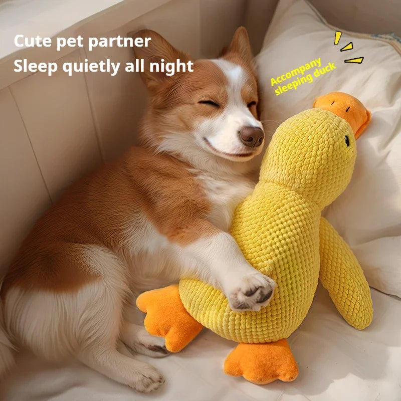 Corgi snuggling with calming pet toy, a plush duck, for restful sleep and comfort.