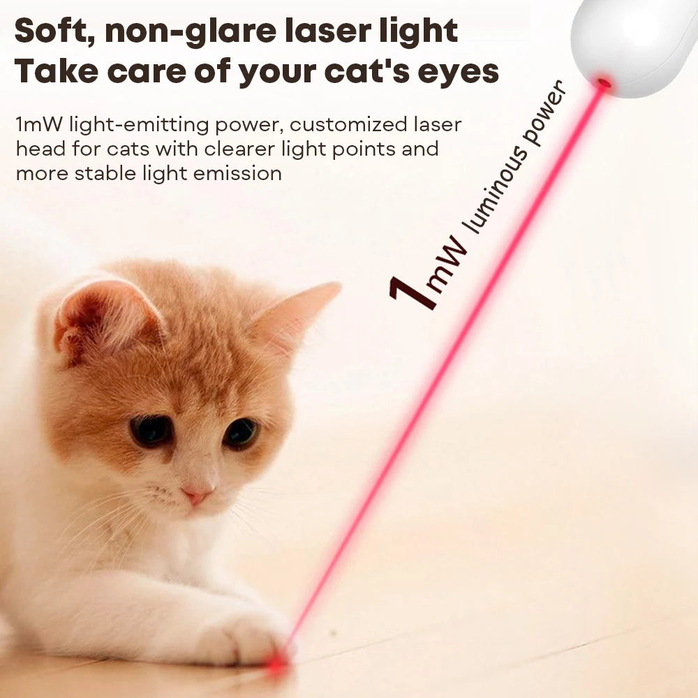 Cat playing with interactive gravitational teaser laser wand