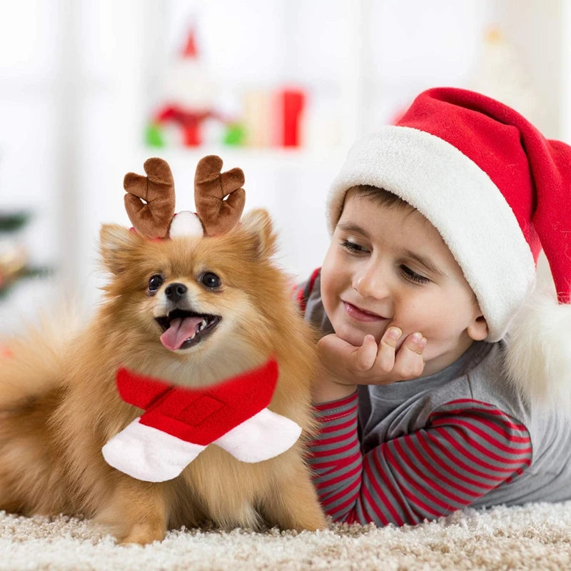 Christmas pet costume featuring a happy dog in reindeer antlers and scarf, with a child in a Santa hat.