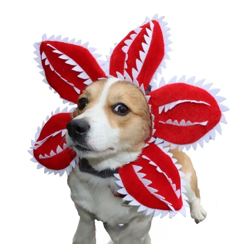 Cat wearing a scary flower Demogorgon cosplay hat for Halloween or costume party
