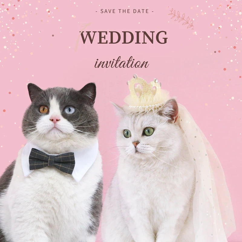 Elegant wedding crown with veil for small dogs and cats – pet bridal headdress