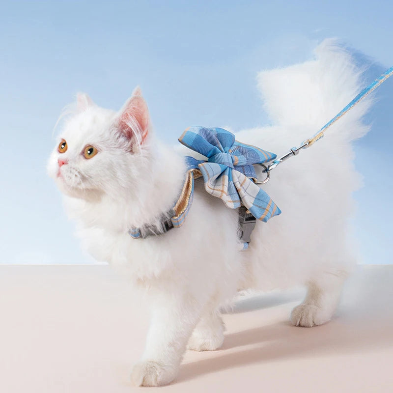 White fluffy cat wearing a stylish pet harness with a blue bow, walking comfortably on a leash.