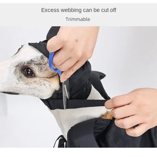 Maleficent-inspired Halloween cape and hat set for dogs and cats, perfect for spooky celebrations.