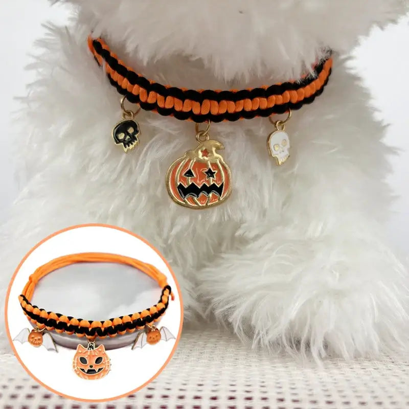 Cat wearing a Halloween breakaway collar with a small pumpkin pendant and festive woven design.