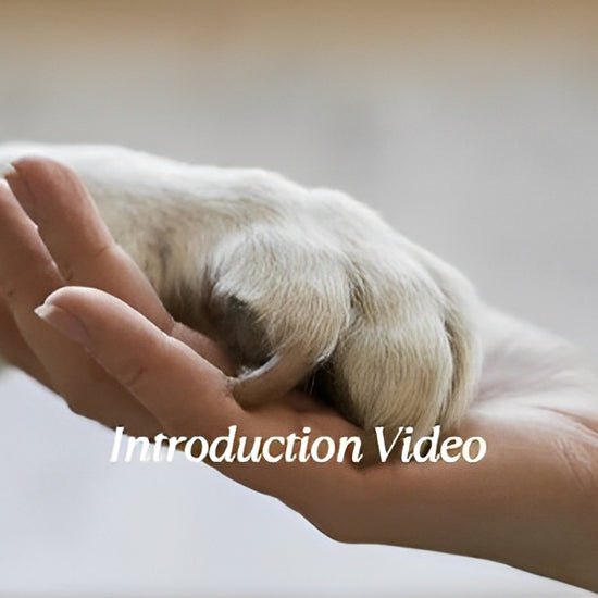 Cooling gel pet mat for summer heat relief and joint pain support