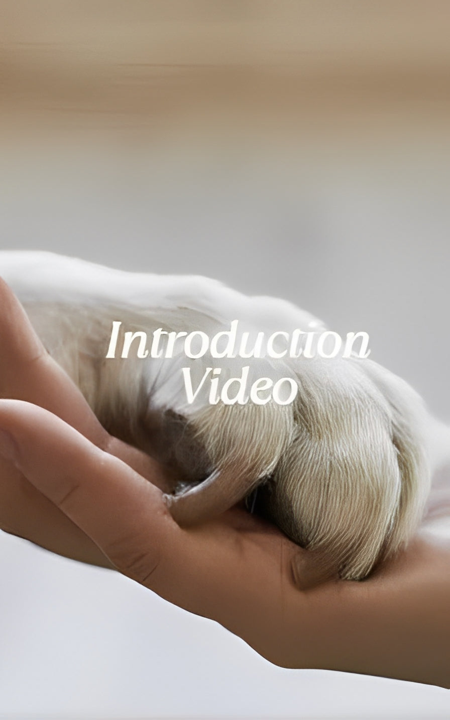 U-shaped cotton pet pillow for cats and dogs with removable washable cover, ideal for chin support and deep sleep.